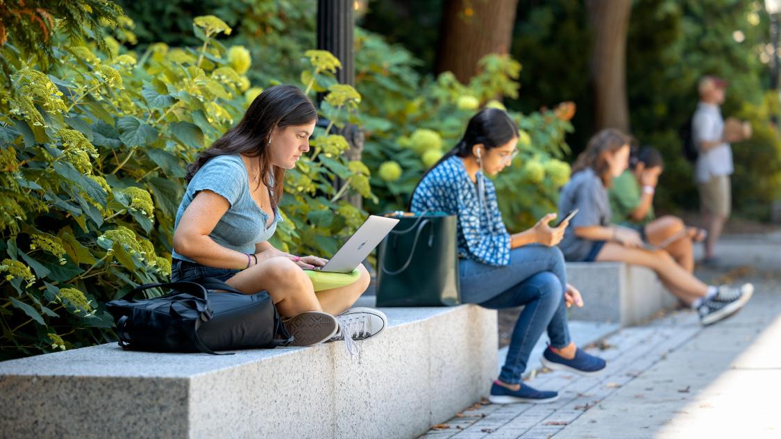 Students studying on Ho Plaza in summer