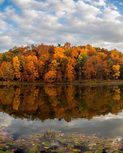 Bebe Lake reflecting fall color